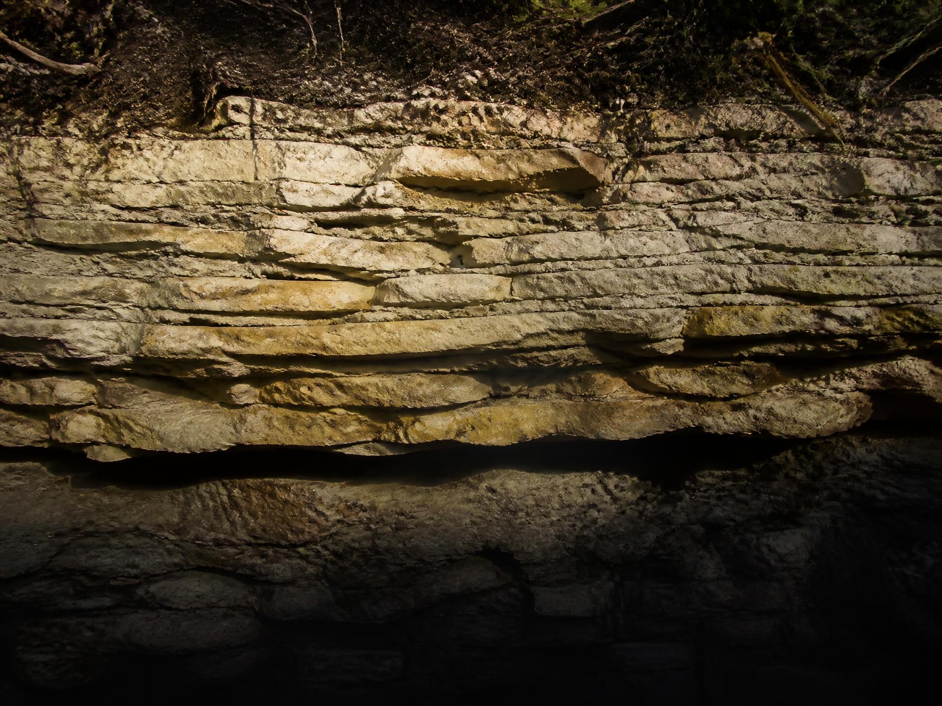 Corte de roca caliza con estratos visibles, característico del terreno de la Península de Yucatán